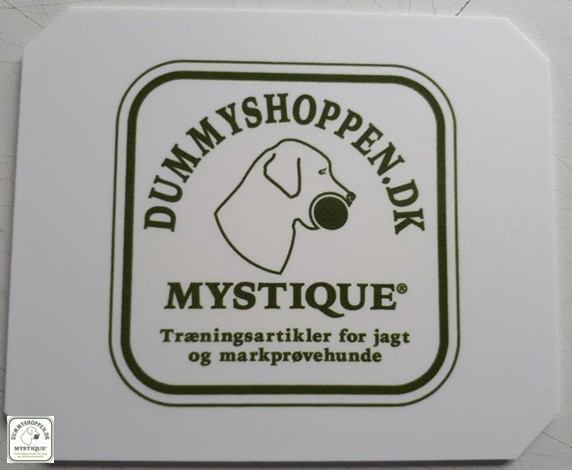 Dirigerings kort