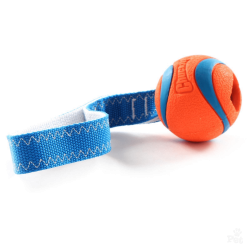 Chuckit Ultra Tug ball