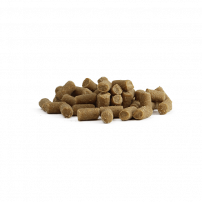 Foder & foder tilskud