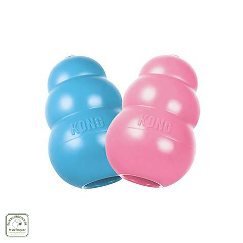 Kong Puppy 