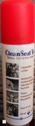 Clean Seal - plaster