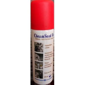 Clean Seal - plaster