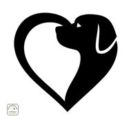 Labrador hjerte