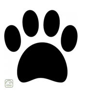 Paw