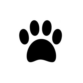 Paw