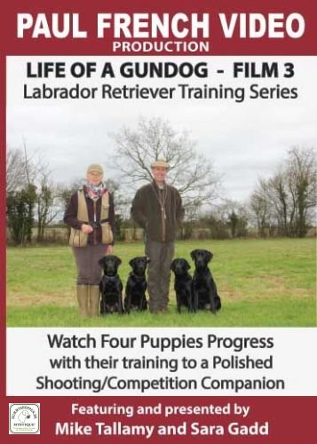 DVD 3 - Life of a Gundog