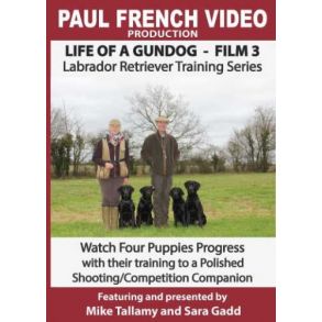 DVD 3 - Life of a Gundog