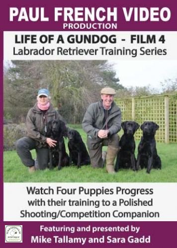 DVD 4 - Life of a Gundog