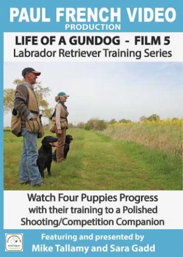 DVD 5 - Life of a Gundog
