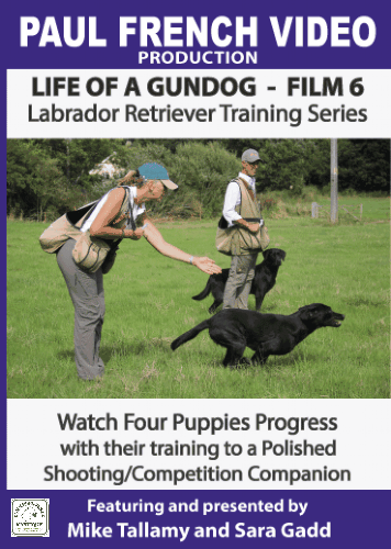 DVD 6 - Life of a Gundog