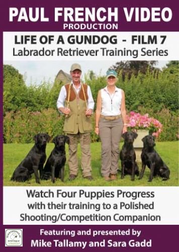 DVD 7 - Life of a Gundog