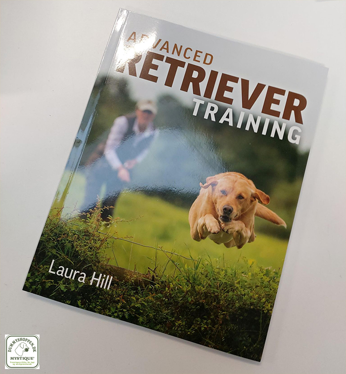 Advanced Retriever Training
