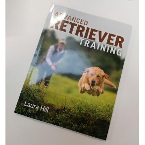 Advanced Retriever Training