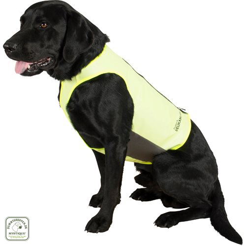 Jagtvest