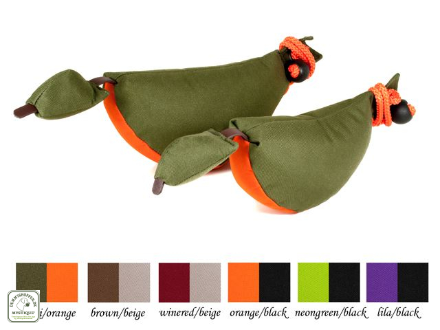 Bird dog dummy