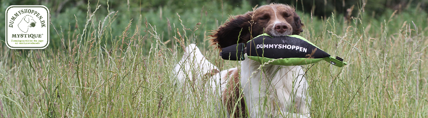 Birddog dummy