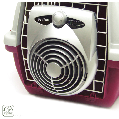 Ventilator
