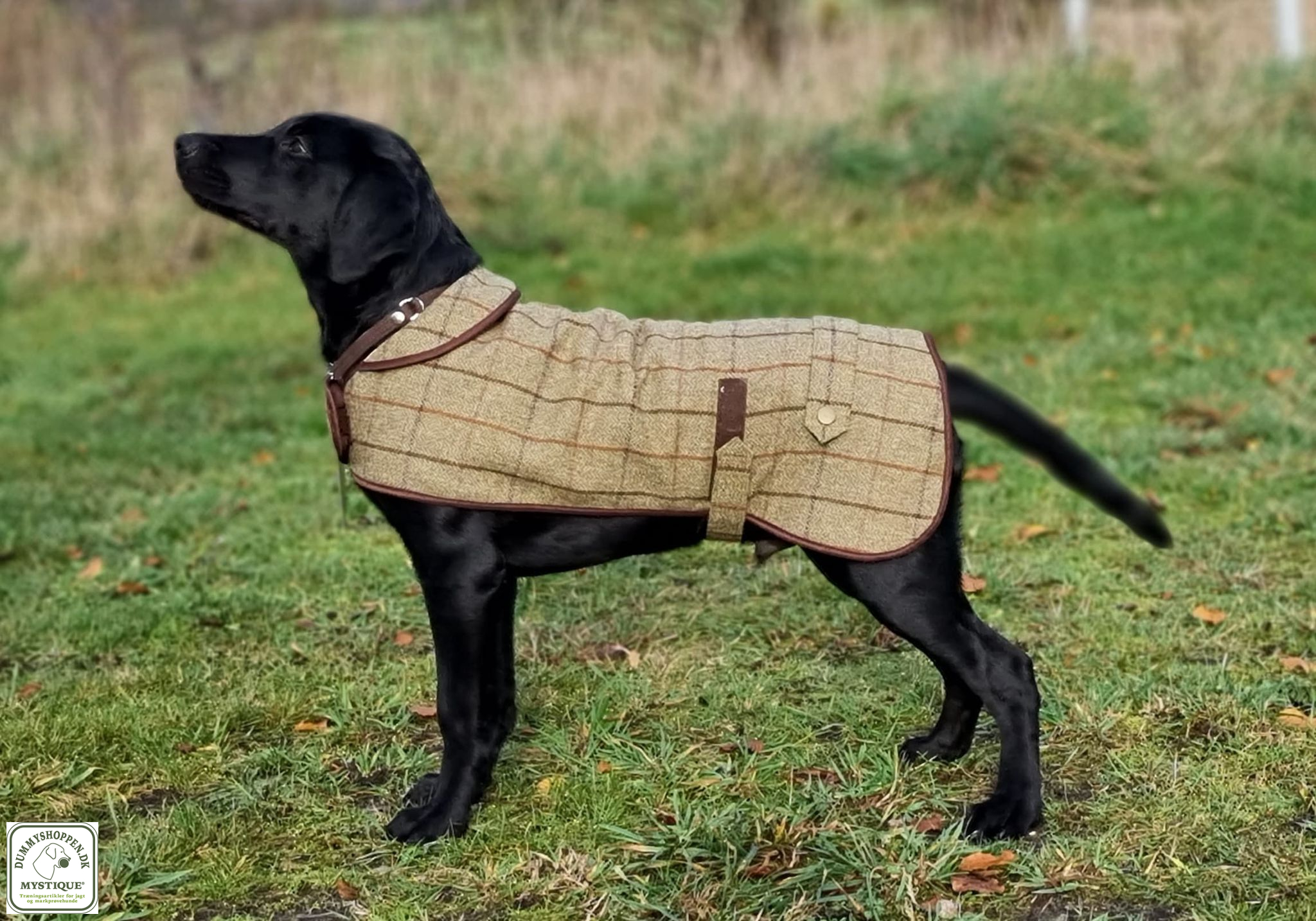 Tweed dkken