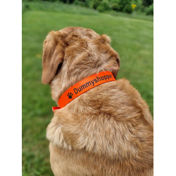 Biothane Halsbnd m/navn