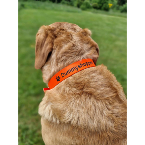 Biothane Halsbnd m/navn