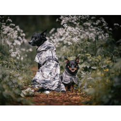 Paikka regndkken Camou