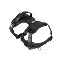 Max&Molly Sports &amp; Spor sele m/