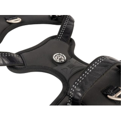 Max&Molly Sports &amp; Spor sele m/