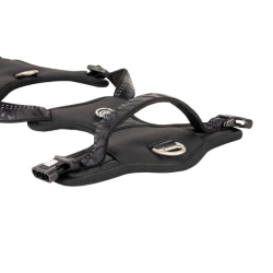 Max&Molly Sports &amp; Spor sele m/