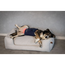 Photonic Lights HighPAD 4