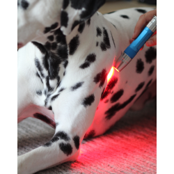 Photopuncture Starter Kit red/Green