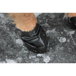 PawZ hundesko str . L 1stk