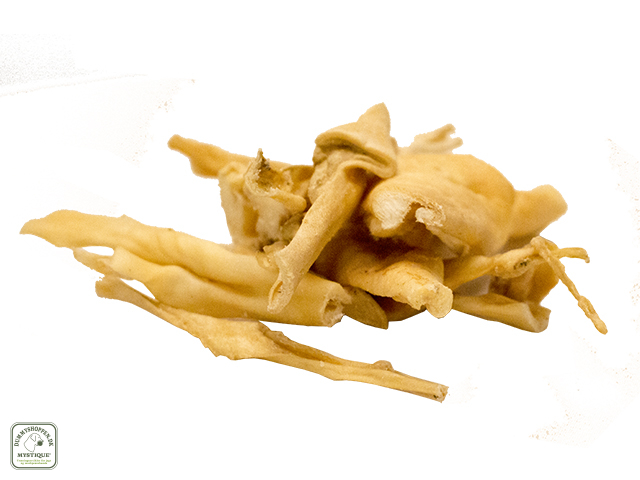 Lammehovedhud med re 300gr.