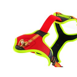 Niggeloh Follow Trail sele