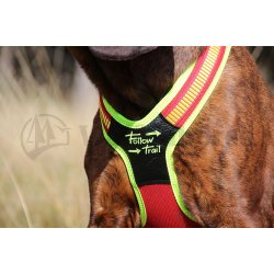 Niggeloh Follow Trail sele