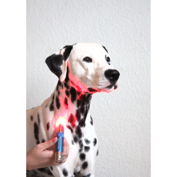 Photopuncture Starter Kit red/Green