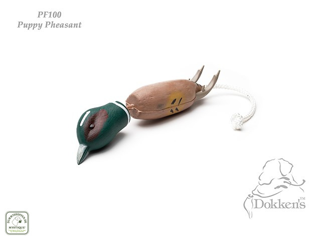 Puppy Pheasant