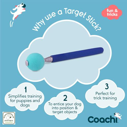 Coachi Target stik 