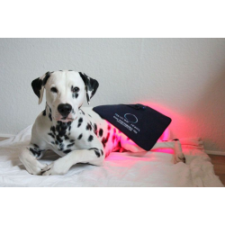 Photonic Lights HighPAD 4