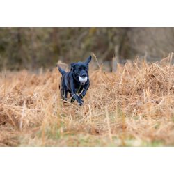 Launcher Ball til Dummyskyder